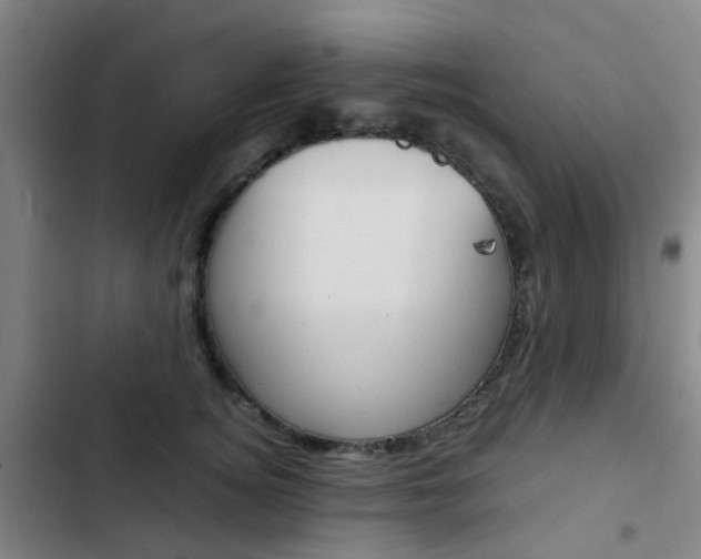 X0000103330756200809051022