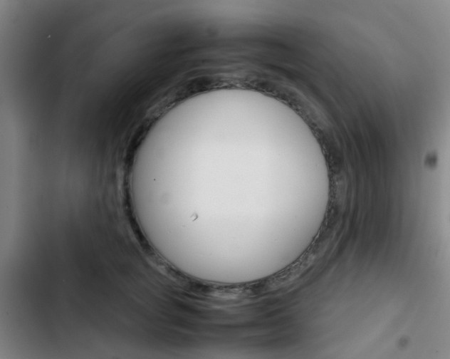 X0000103330757200809051022