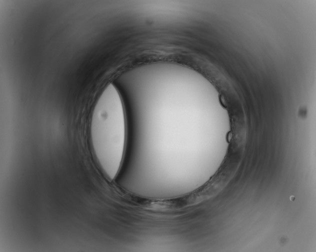 X0000103330758200809051022