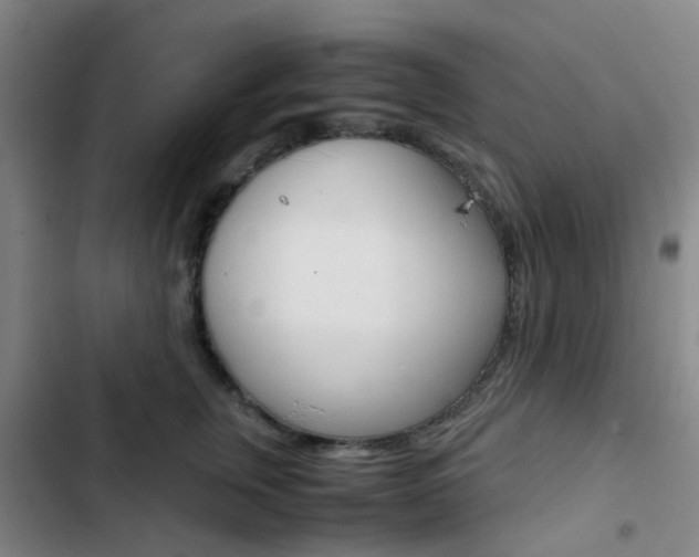 X0000103330759200809051022