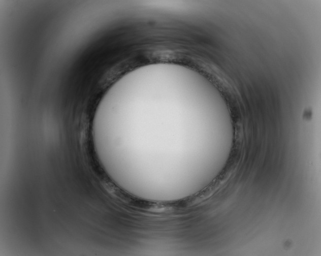 X0000103330760200809051022