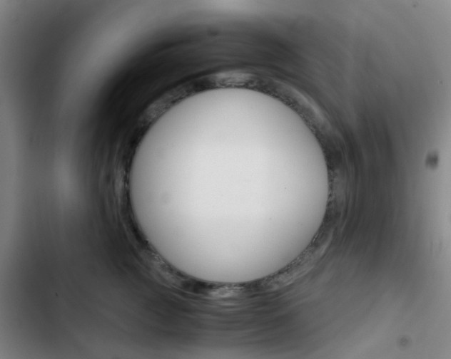 X0000103330761200809051022