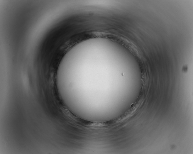 X0000103330762200809051022