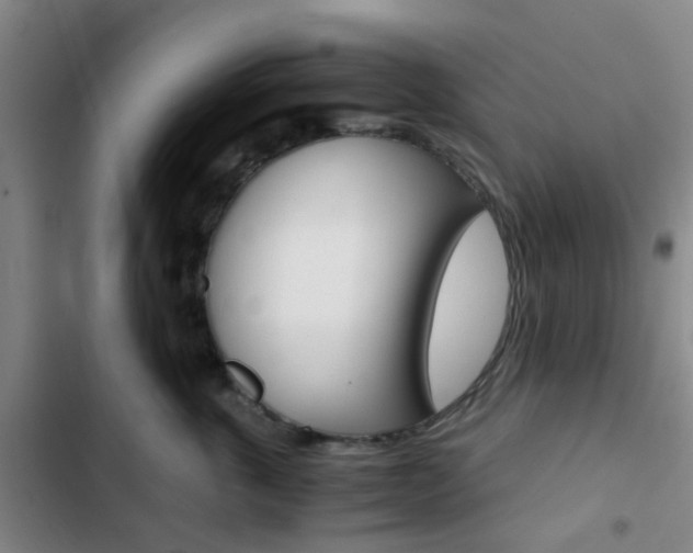 X0000103330763200809051022