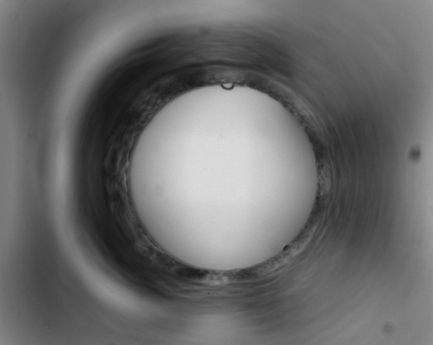 X0000103330764200809051022