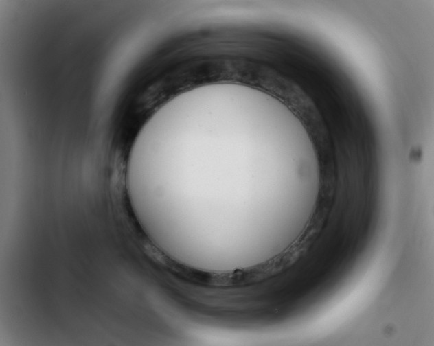 X0000103330766200809051022