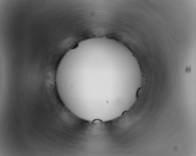 X0000103330768200809051022