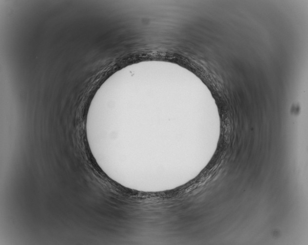 X0000103330769200809051021