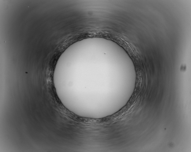 X0000103330770200809051021