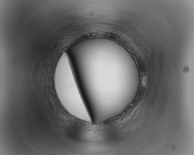 X0000103330771200809051021