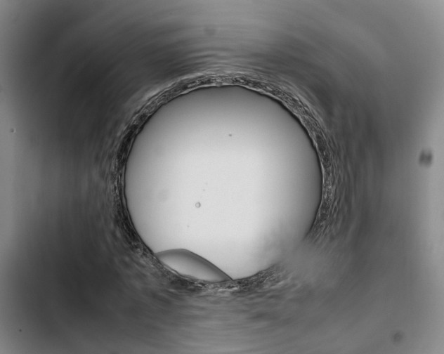 X0000103330773200809051021