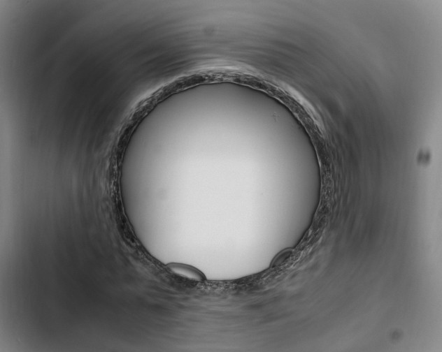 X0000103330775200809051021