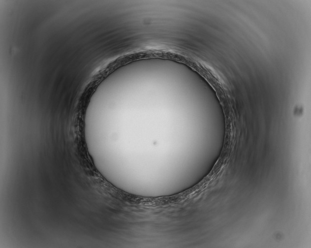 X0000103330776200809051021