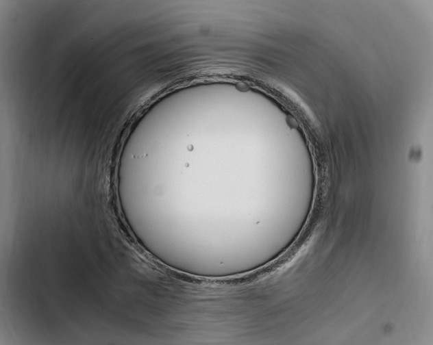 X0000103330777200809051021