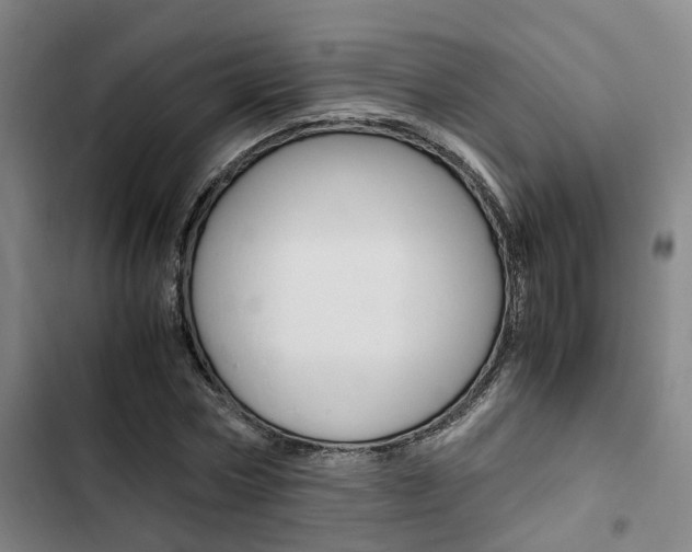 X0000103330778200809051021