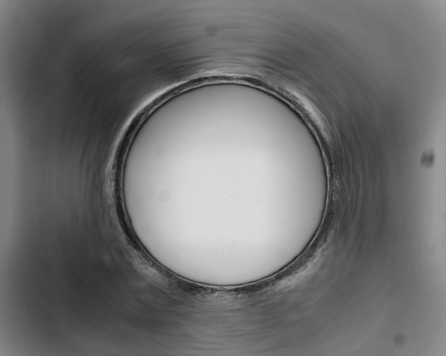 X0000103330779200809051021
