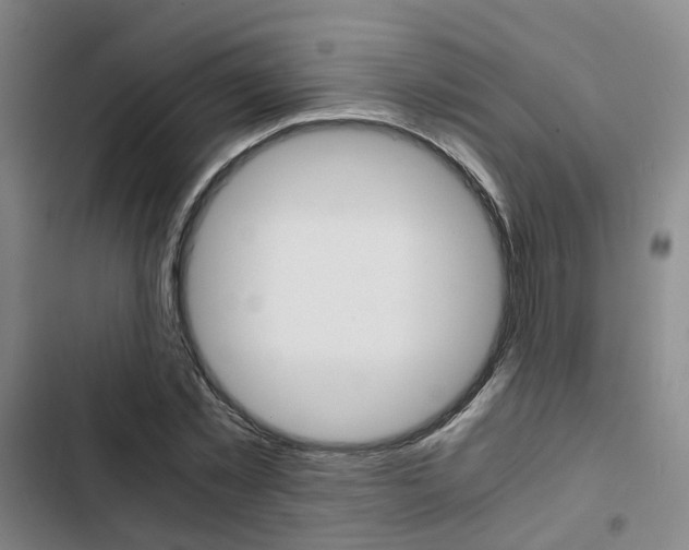 X0000103330781200809051021