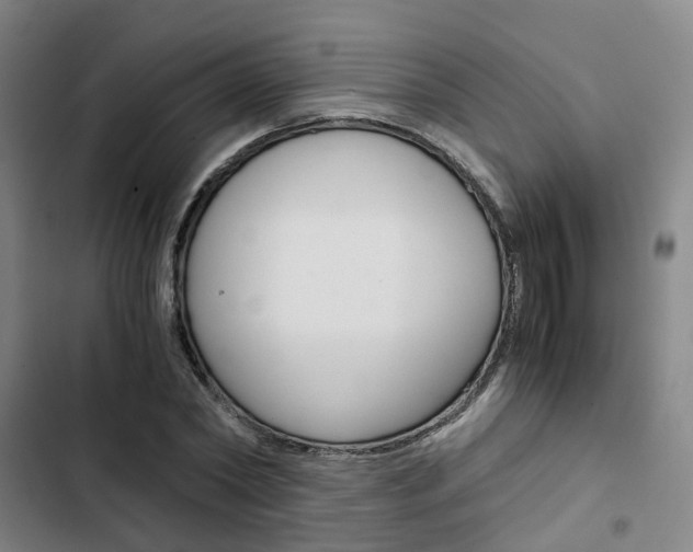 X0000103330782200809051021