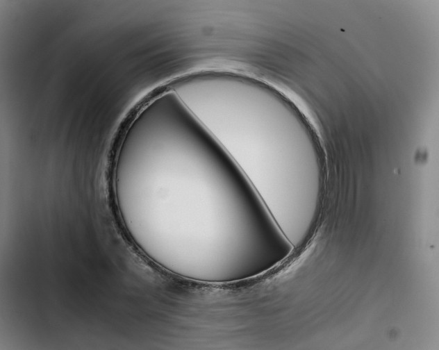 X0000103330783200809051021