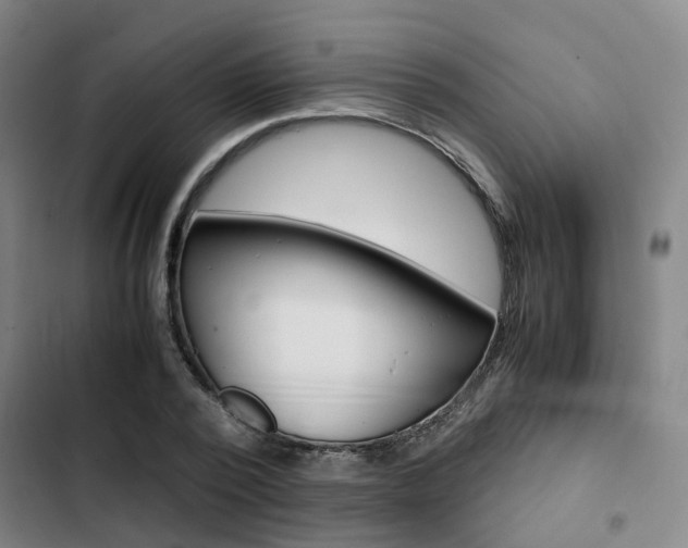 X0000103330784200809051021