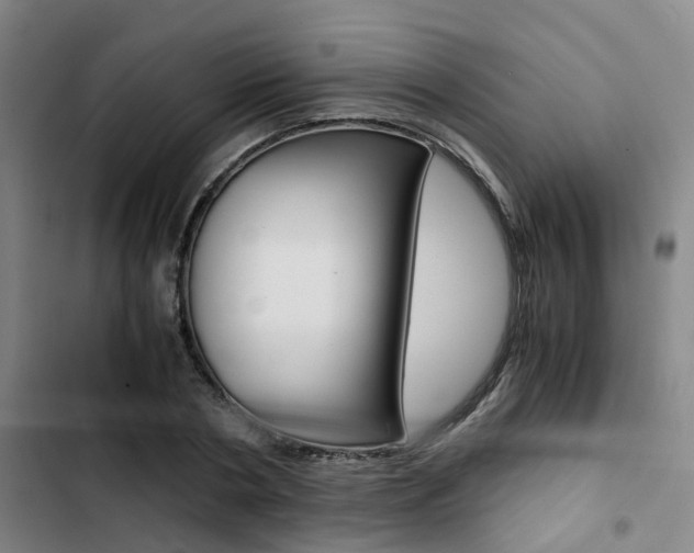 X0000103330786200809051021