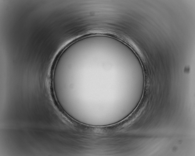 X0000103330787200809051021