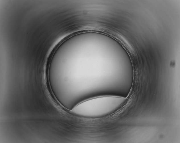 X0000103330788200809051021