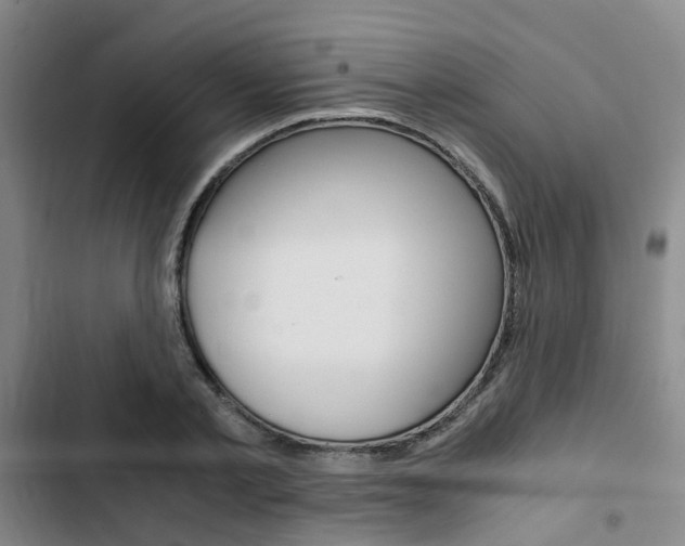 X0000103330789200809051021