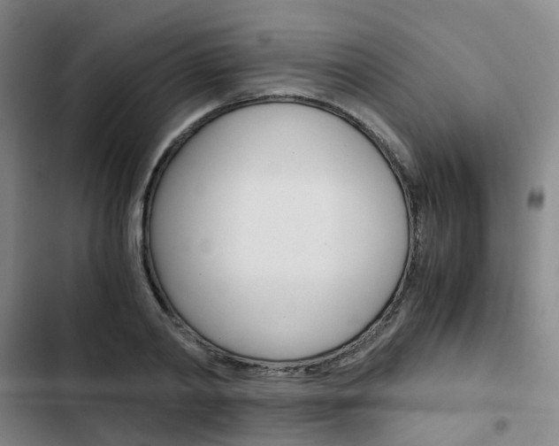 X0000103330790200809051021