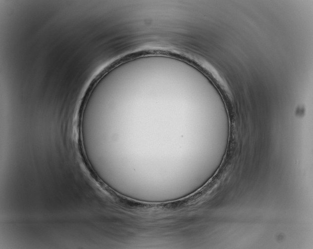 X0000103330791200809051021