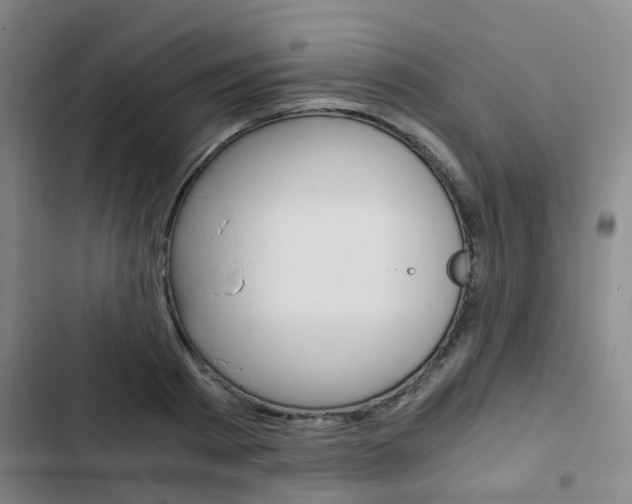X0000103330793200809051021