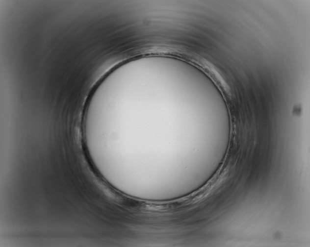 X0000103330794200809051021