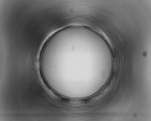 X0000103330795200809051021