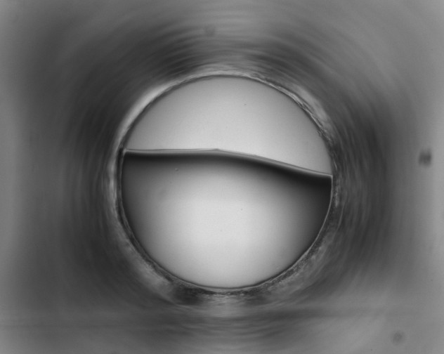 X0000103330796200809051021