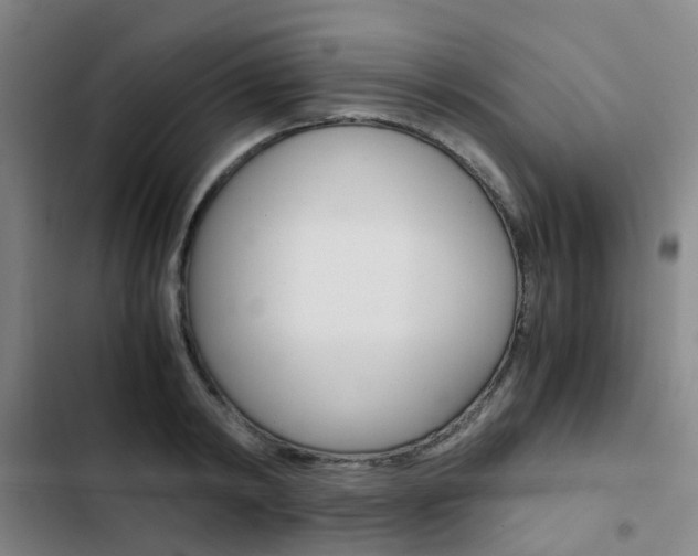 X0000103330798200809051021