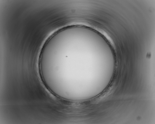 X0000103330799200809051021
