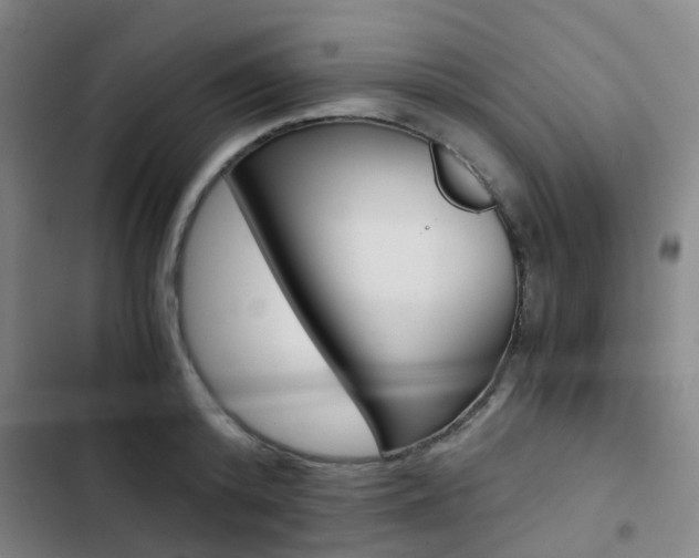 X0000103330800200809051021