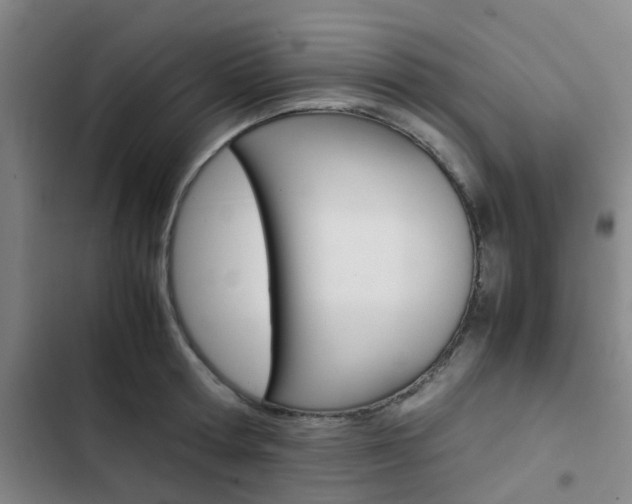 X0000103330802200809051021