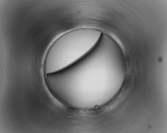 X0000103330803200809051021