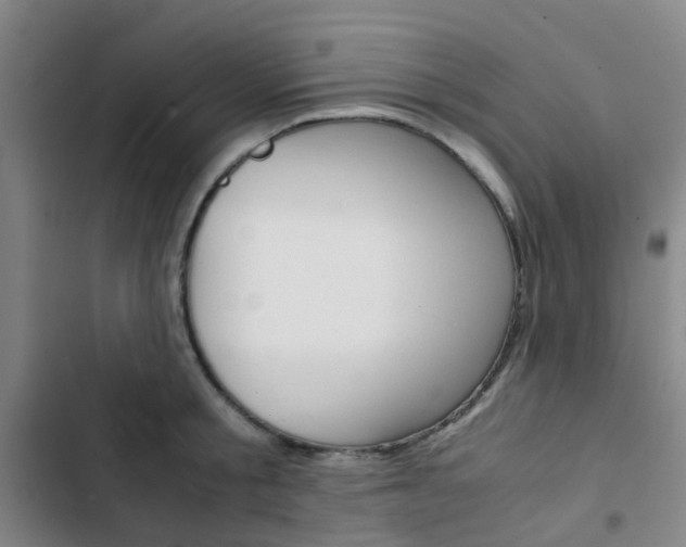 X0000103330805200809051021