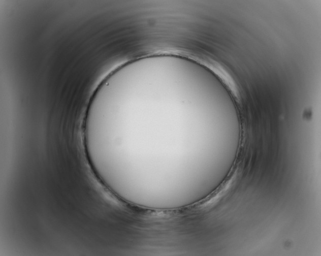 X0000103330806200809051021