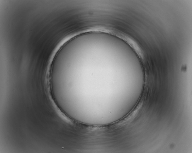 X0000103330808200809051021
