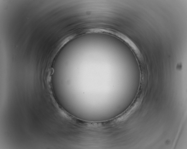 X0000103330809200809051021