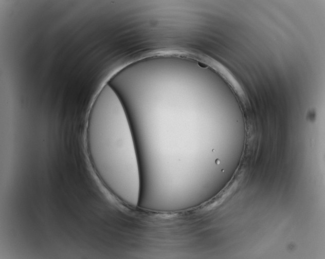 X0000103330810200809051021