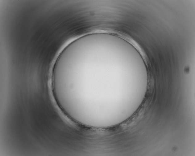 X0000103330811200809051021