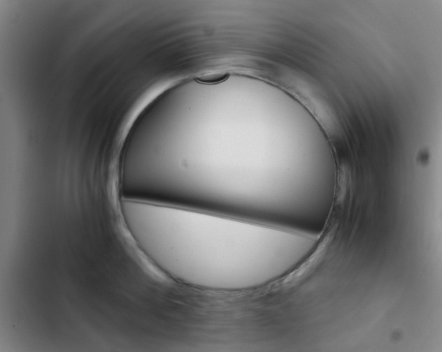 X0000103330812200809051021