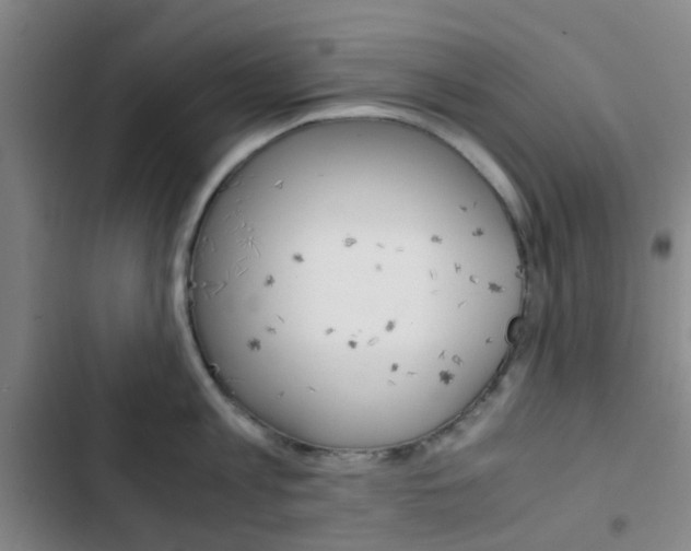 X0000103330813200809051021
