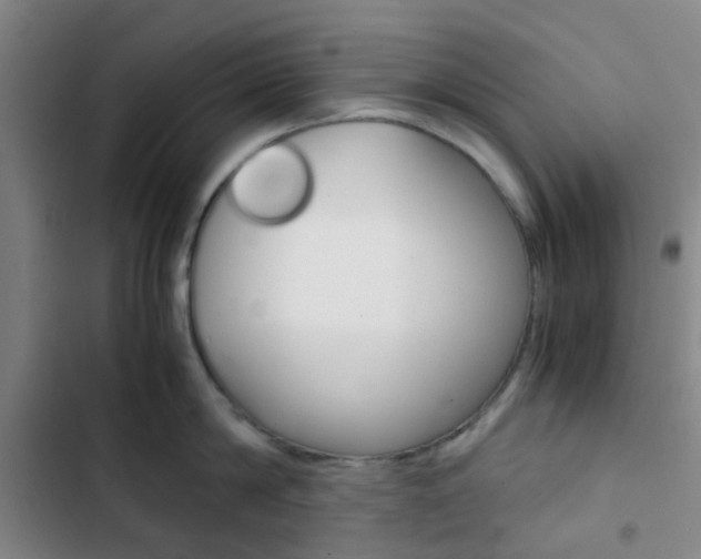 X0000103330814200809051021