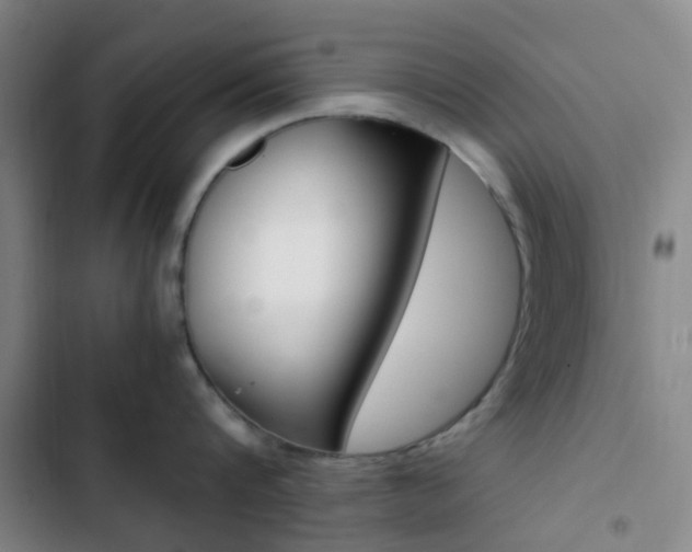 X0000103330816200809051021