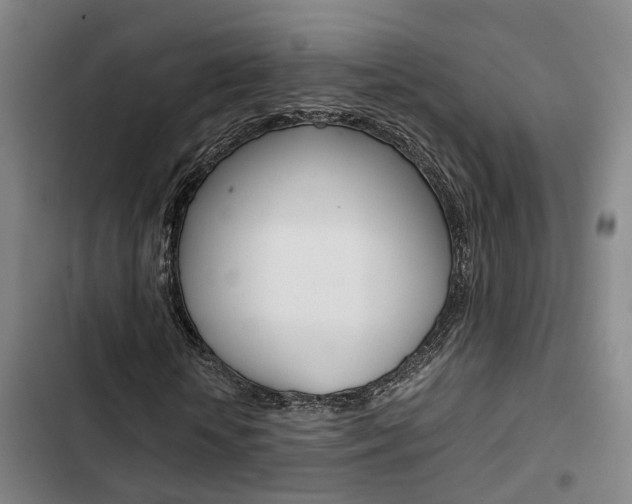 X0000103330818200809051020